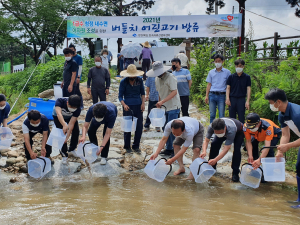 경상북도 토속어류산업화센터, 치어 210만 마리 방류 