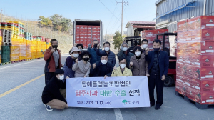 영주사과, 해외수출 청신호… 53t 대만 간다