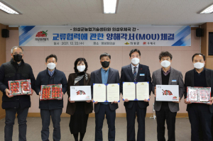 의성군 