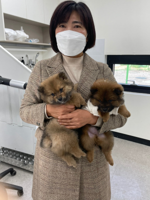 경주동물사랑보호센터 유기견 입양기