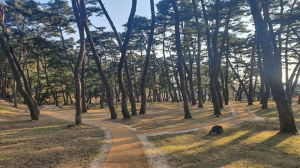 영주시 