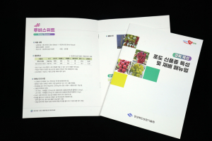 씨 없이 껍질째 먹는 포도가 대세… 경상북도농업기술원, 신품종 특성·재배 매뉴얼 발간