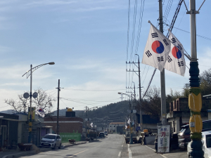 성주군 용암면, 3·1 태극기 달기 운동