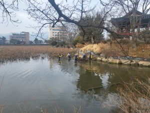 김천 8경 교동연화지 '쾌적하게'