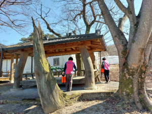 김천시 감문면 생활개선회, 방역 봉사