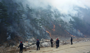 울진·삼척 산림 1만4222㏊·시설 463곳 탔다
