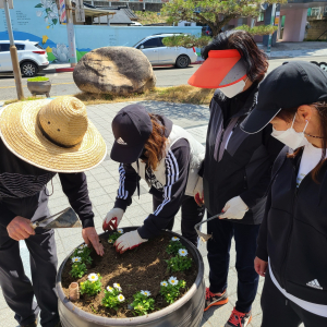 연도변 꽃묘로 '화사한 평화남산동'