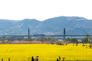 대구 금호강 하중도 새 이름은 '금호꽃섬'