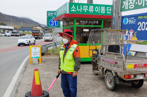 청송군, 소나무류 이동단속 초소 운영