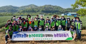 농협 청도군지부·새청도농협, 농촌 인력난 해소 팔걷어
