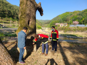 봉화군, 보전 관리·복원으로 전통숲 지킨다