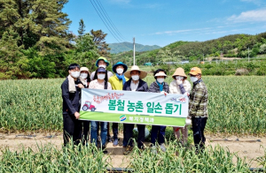 영천시 복지정책과, 농번기 마늘 농가에 '일손 보태'