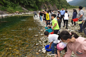 경주시, 산내면 동창천에 어린 다슬기 방류