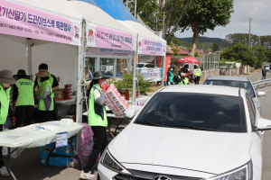 포항 특산품 장기산딸기 드라이브스루 특판행사 '대박'