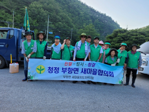 김천시 부항면 새마을협의회·부녀회, 청결운동