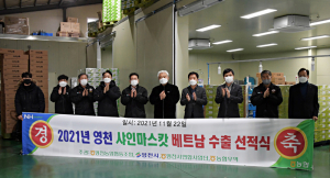 한번 맛보면 잊을수 없는 '영천 샤인머스캣'의 상큼·달콤, 아삭한 유혹