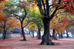 깊어가는 천년고도 '경주'··· 7가지 매력으로 물든 가을 산책