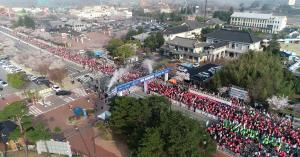 벚꽃 명소 경주 도심을 질주하는 '생동의 붉은 물결' 장관