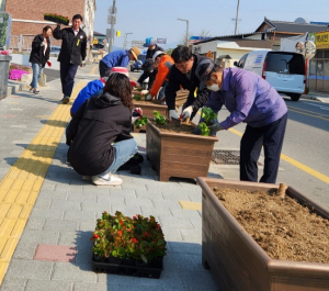 성주군 초전면, 연도변 꽃길 조성 실시