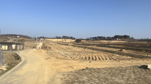 의성군, 단밀 선학지구 경지정리사업 마무리