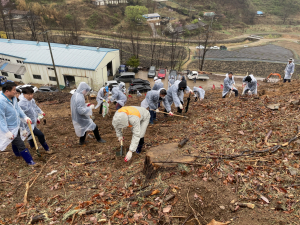 문경시, 식목일 나무 심기 행사 가져