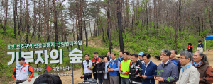경상북도, 상처 남은 울진 숲에 작은 한그루를