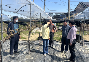 상주시의장 