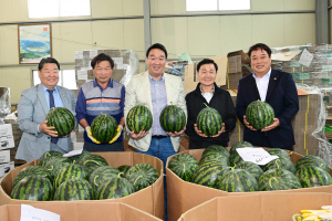 달콤함의 끝판왕 '고령 우곡수박' 맛 보세요~