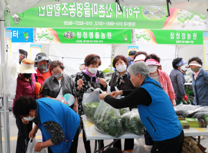 '향긋한 봄나물' 캐고, 맛보고, 즐기고··· 영양산나물축제 11일부터 개막