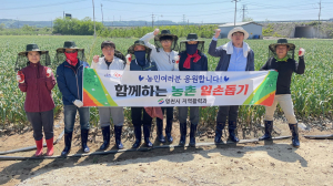 영천시 지역활력과, 700평 함께 일구며 '구슬땀'