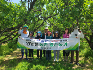 영천시 사회복지과, 복숭아 농가 돕기