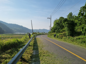 성주군 벽진면, 쾌적한 도로환경 조성