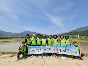 칠곡군 북삼읍지역사회보장협의체, 사랑 전하는 모내기 활동 실시