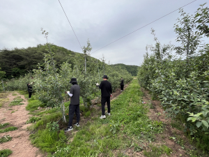 영덕군 안전재난건설, 농촌봉사활동