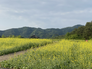 경북문화관광공사 