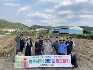영천시 산림과, 마늘농가 일손돕기 '구슬땀'