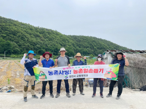 영천시 교통행정과, 수확기 마늘 농가에 '힘 써'