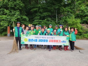 문경시 점촌4동 새마을회, 도로변 정화