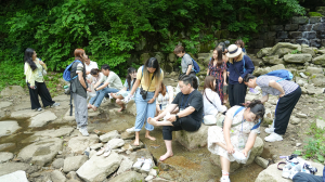 여름 김천, 힐링하기 '딱'···경북여행리포터·여행앰버서더, 관광 콘텐츠 홍보 팸투어 진행 