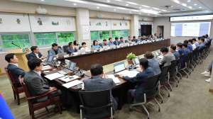 고령군, 가야 고분군 세계유산 등재 대비 '총력'