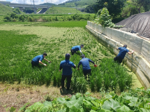 안동경찰서, 집중호우 피해 지역에 '도움 손길'