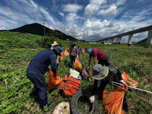 경산시 남천면 
