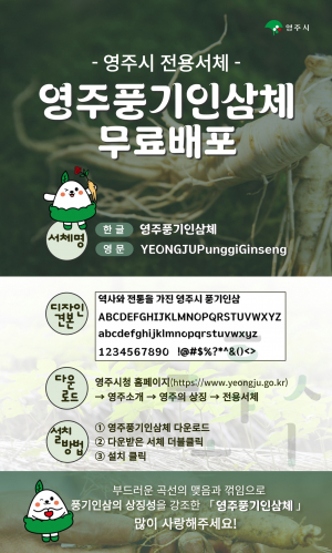 영주시, 인삼 뿌리 꼭 빼닮은 '영주풍기인삼체' 무료 배포