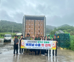 영덕군 고품질 원황배, 세계인 입맛 '정조준'