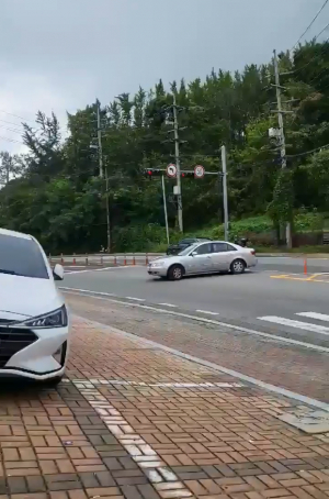 동국대학교 경주병원 앞 도로 '무법천지' 불법 좌회전 車 기승··· 보행자 불안