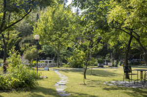 경주시, 자연친화적 경주 카페 '야생화일기'··· 경주 '제1호 민간정원'으로 지정등록