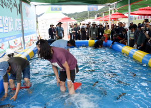 문경시, 오미자 만난 백두대간 문경송어축제 '성료'