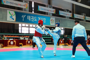 울진군, '제33회 경북도민생활체육대축전' 폐막··· 승리 향한 여정 빛나