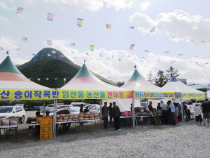 '운문산 버섯 축제' 청정 청도 임산물 한자리