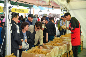 2023경북영주 풍기인삼축제, 황금연휴 관람객 '북적'